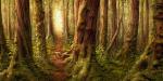 Invitation by Simon Haiduk